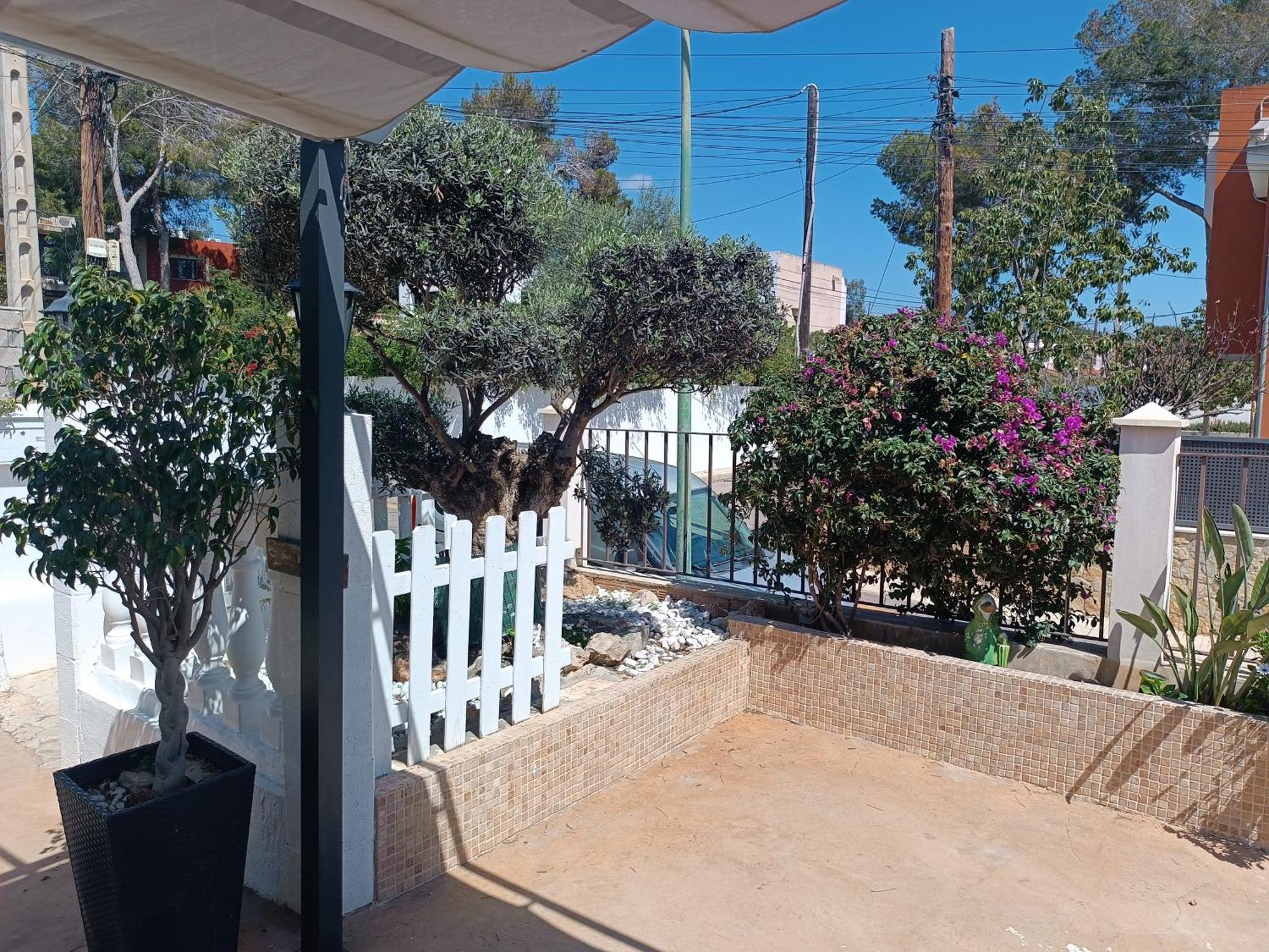 Hostal Belgica Palma Nova  Exterior photo